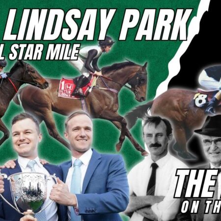 THE PUNT (on the road): TEAM LINDSAY PARK AND THE ALL STAR MILE
