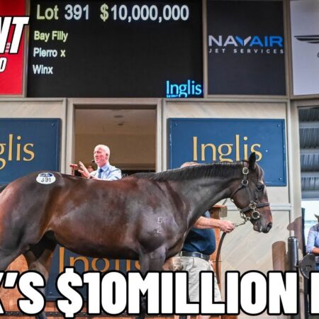 THE PUNT (on the road): WINX’S $10 MILLION FILLY